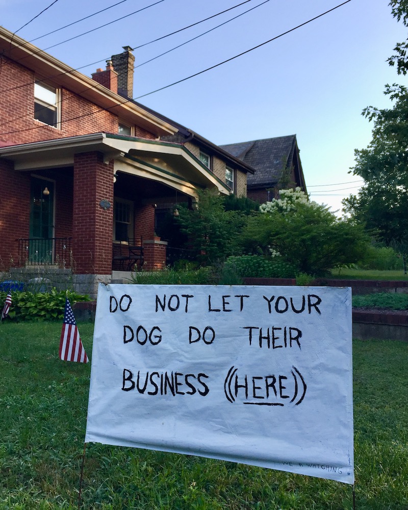 handmade sign in front yard to not let dogs do their business