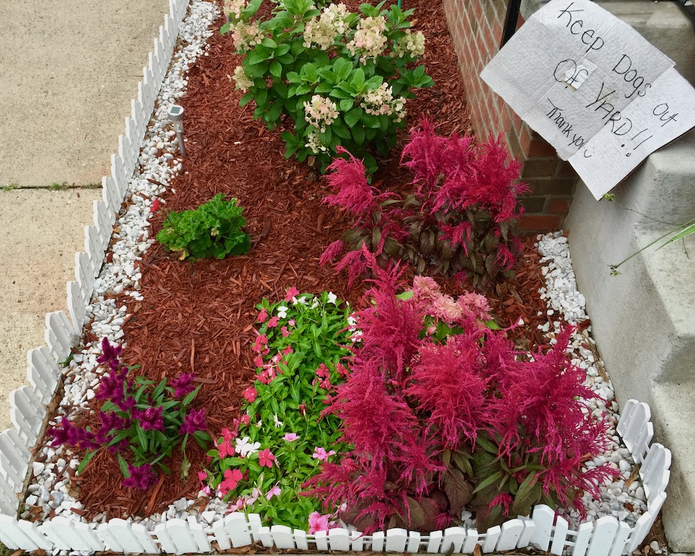 handmade sign to keep dogs out of yard