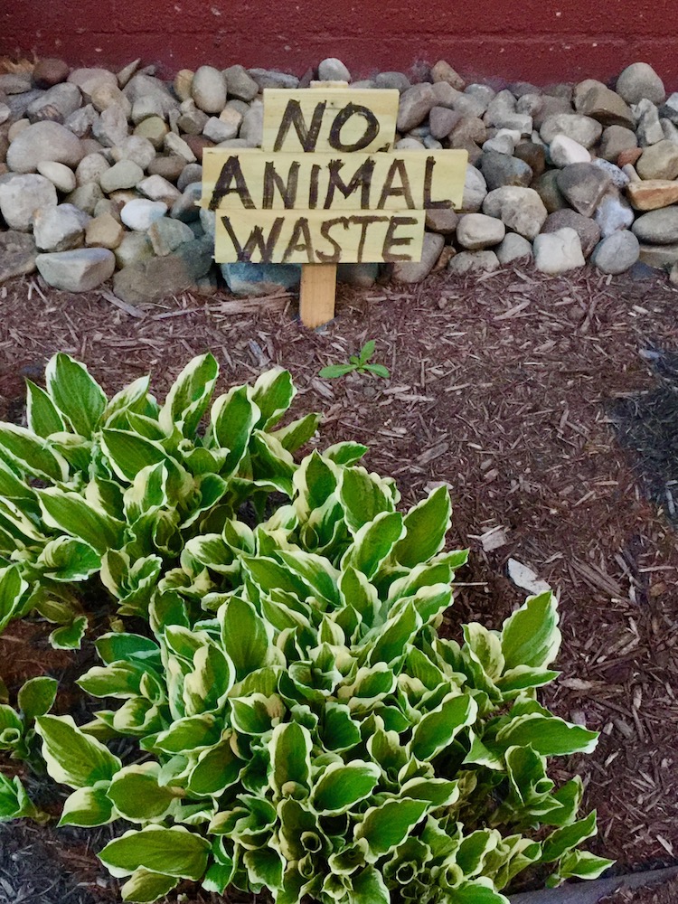 "No animal waste" handmade sign in front garden