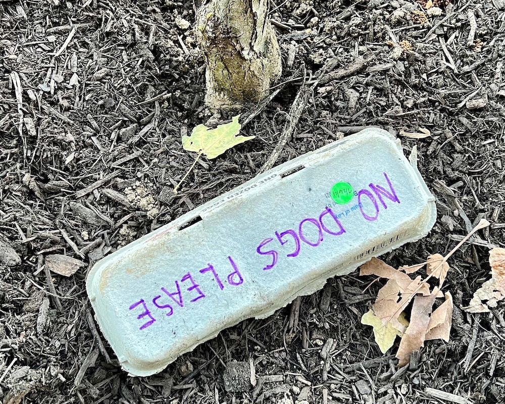 egg carton with "no dogs please" written on it