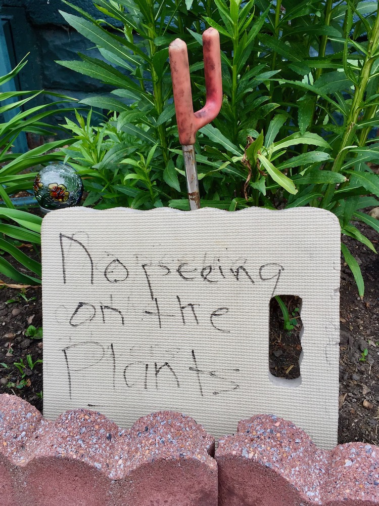 foam pad with message "no peeing on the plants" written