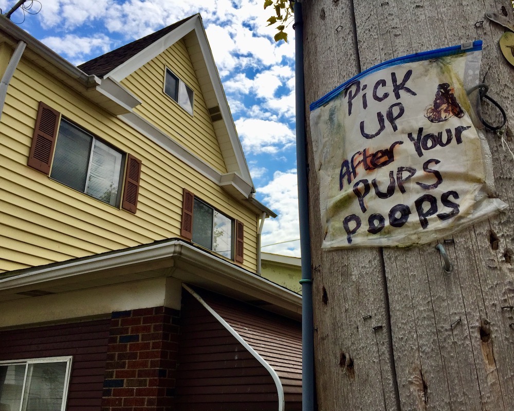 hand-written sign on utility pole saying "Pick up after your pups poops"
