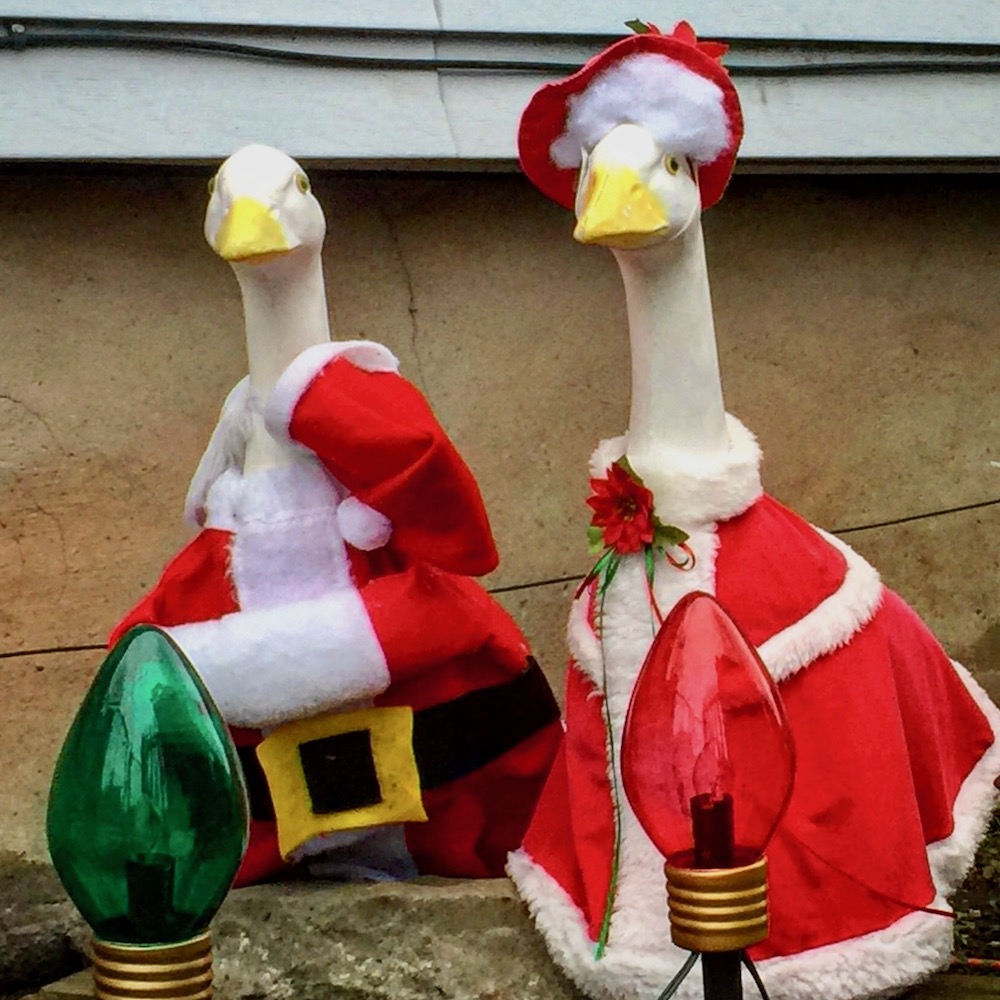 two lawn ornament geese dressed in Christmas costumes