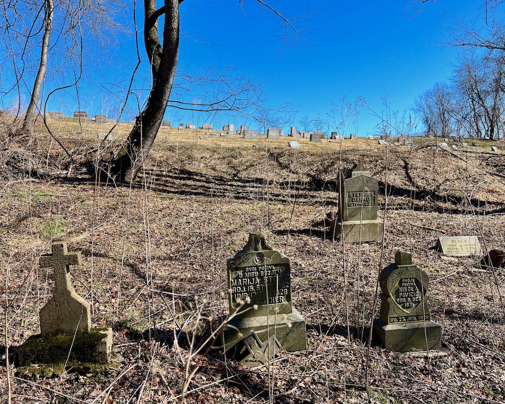 cemetery with clearly-defined sections where grounds are still tended vs. overgrown