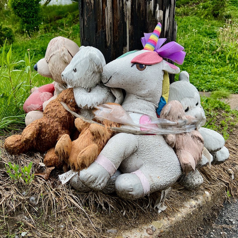 roadside memorial featuring teddy bears taped to utility pole