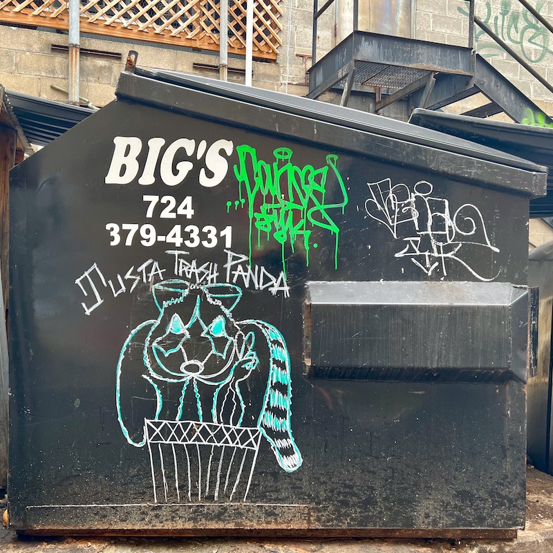 graffiti drawing of a raccoon in a trash can on commercial dumpster