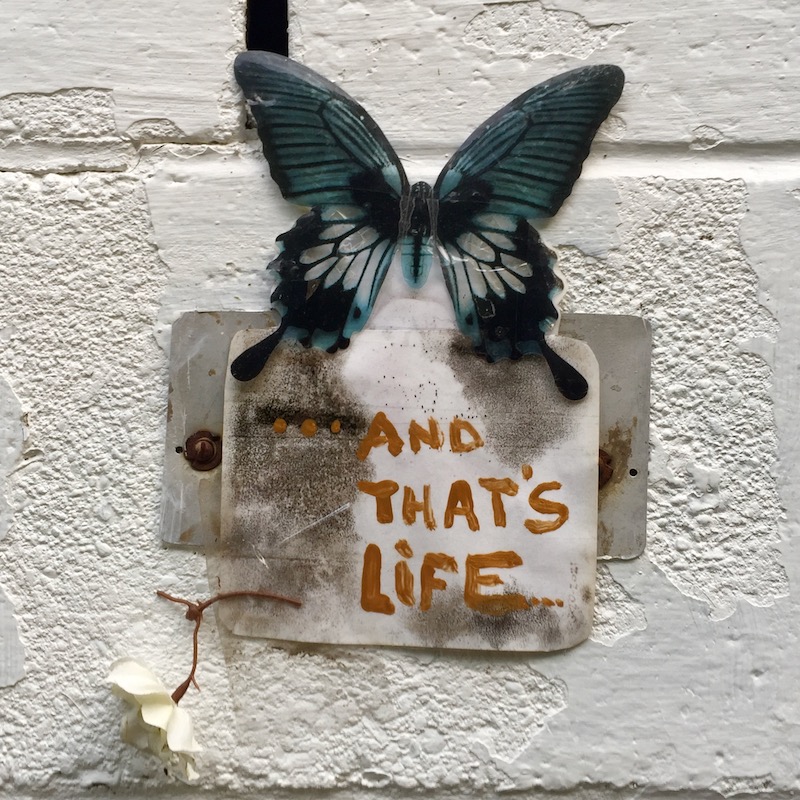 plastic butterfly and small sign reading "... and that's life" on cinderblock wall