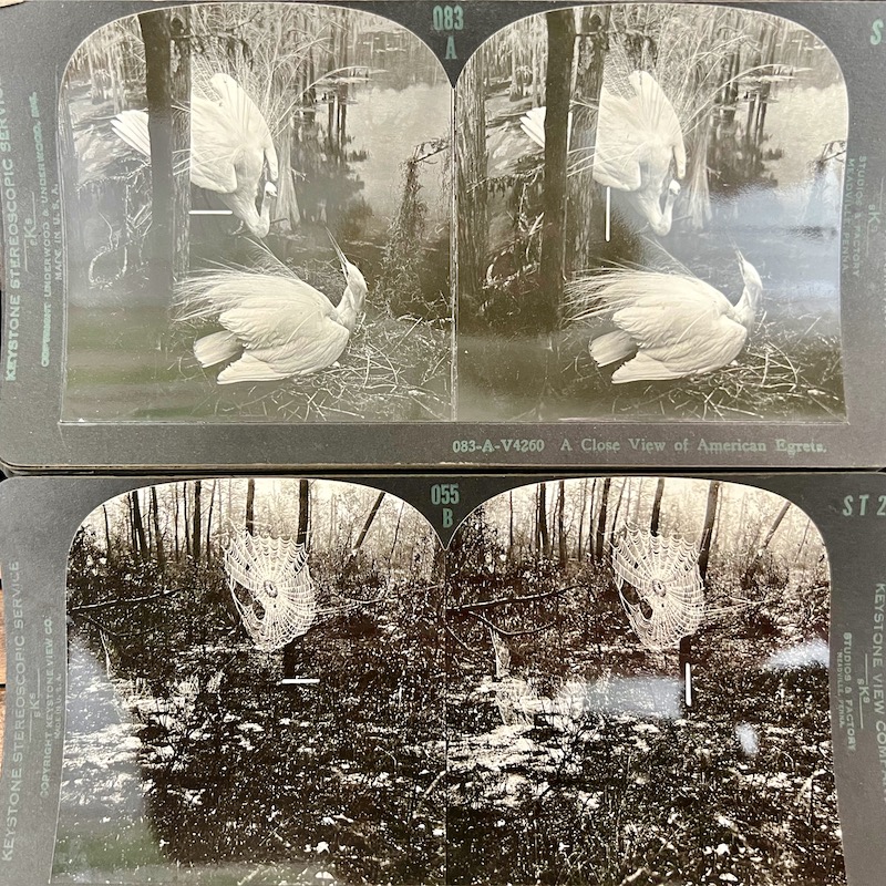 stereoscope view cards of nature scenes