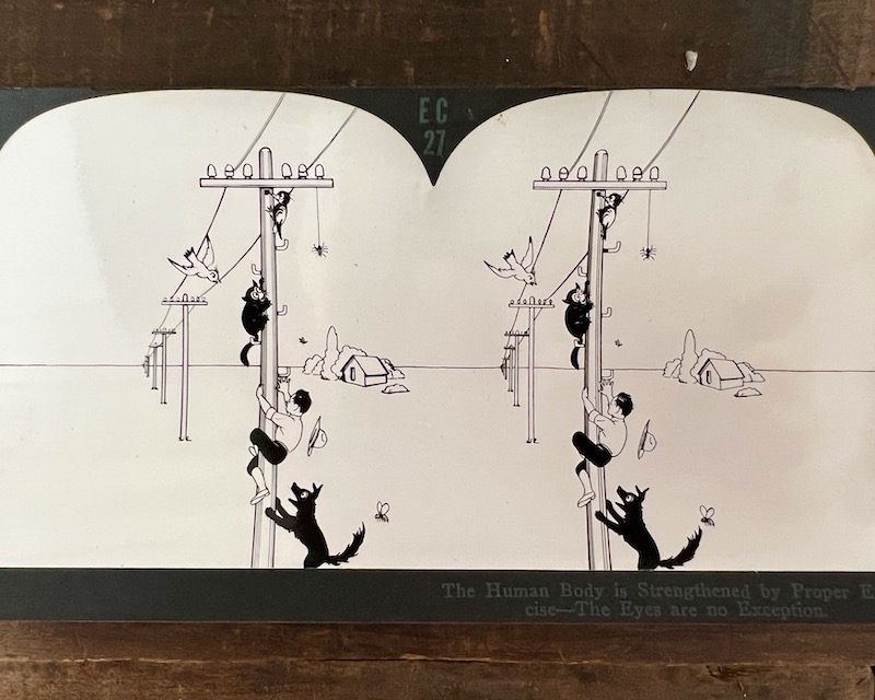 stereoscope view card of cartoon characters climbing a telephone pole