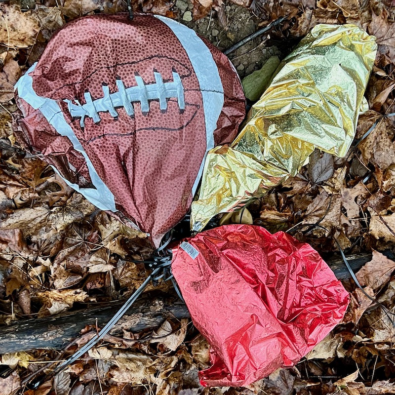 deflated balloons in dead leaves