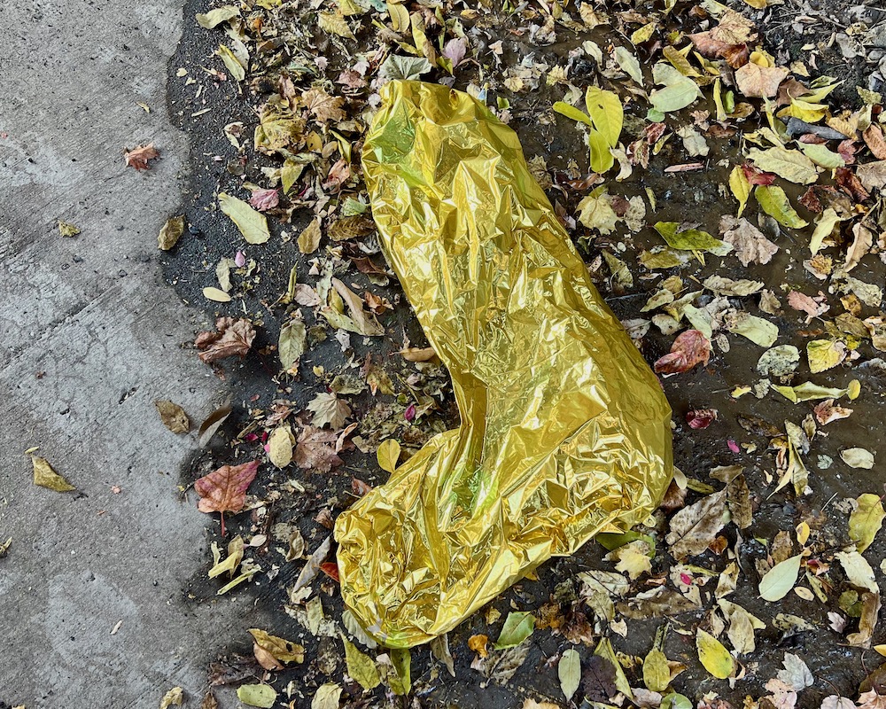 deflated balloon on leaf-strewn sidewalk