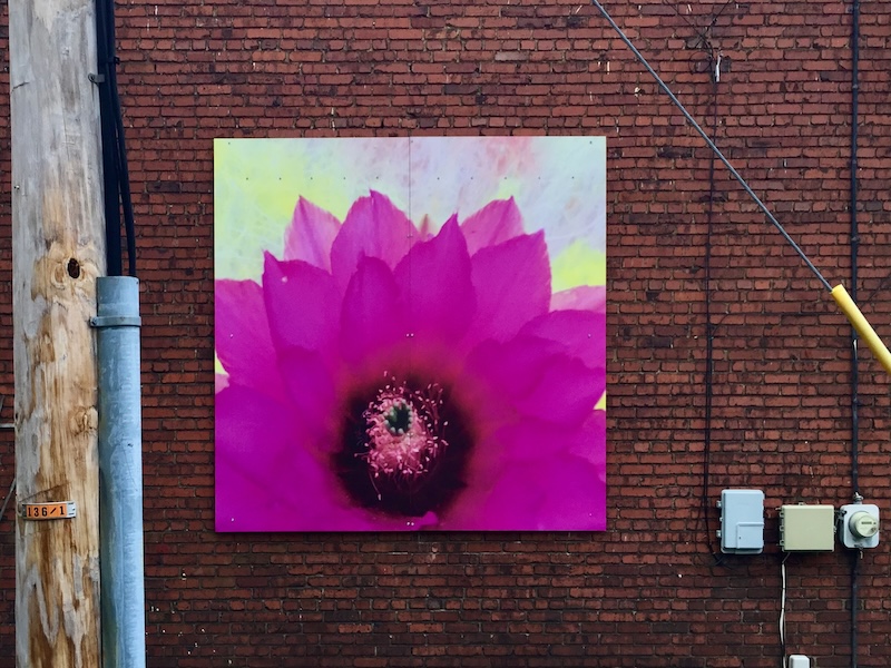 artwork of bright flower attached to brick wall of home