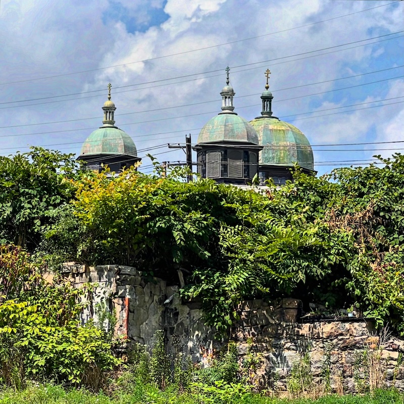decorative church domes seen over an overgrown hillside